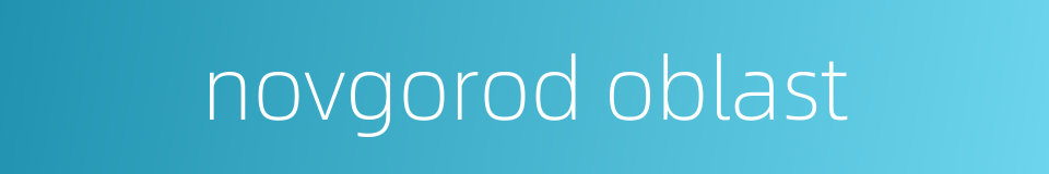 novgorod oblast的同义词