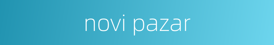 novi pazar的同义词