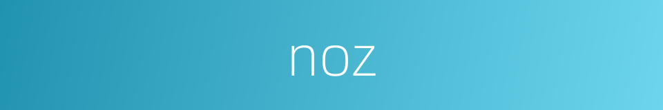 noz的同义词