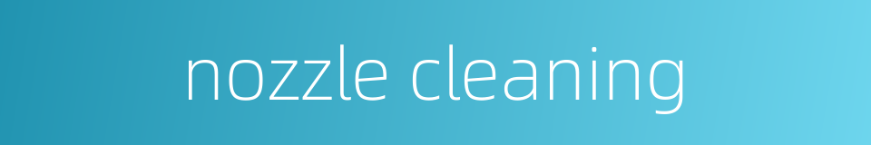 nozzle cleaning的同义词