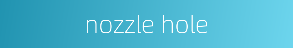 nozzle hole的同义词