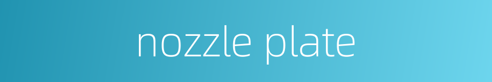 nozzle plate的同义词