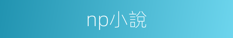 np小說的同義詞
