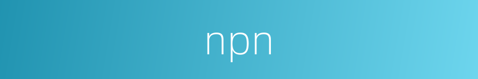 npn的同义词