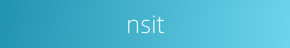 nsit的同义词