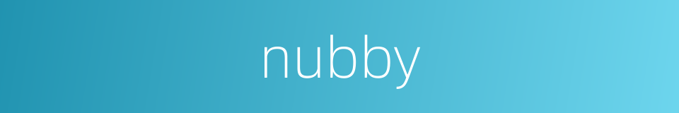 nubby的同义词