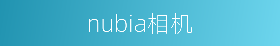 nubia相机的同义词