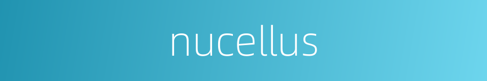 nucellus的同义词