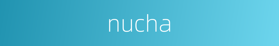 nucha的同义词