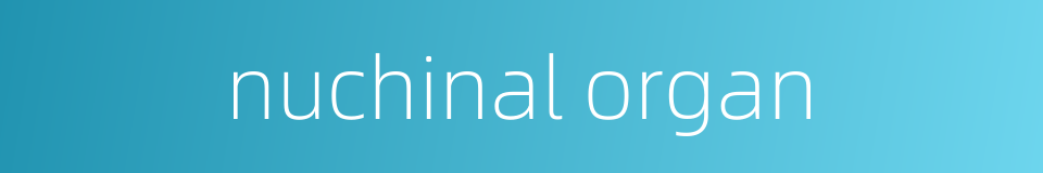 nuchinal organ的同义词