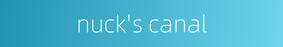 nuck's canal的同义词