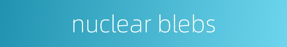 nuclear blebs的同义词