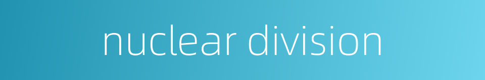 nuclear division的同义词