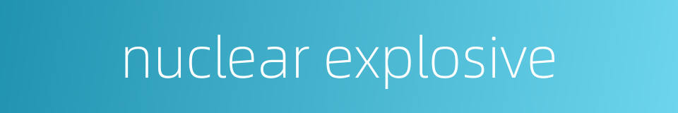 nuclear explosive的同义词