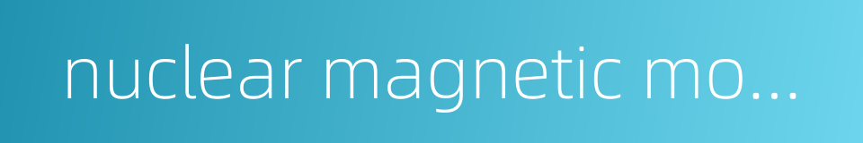 nuclear magnetic moment的同义词