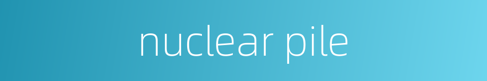 nuclear pile的同义词