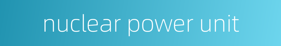 nuclear power unit的同义词