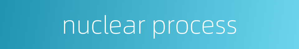 nuclear process的同义词