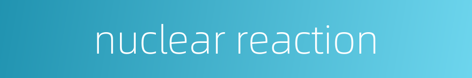 nuclear reaction的同义词