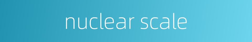 nuclear scale的同义词