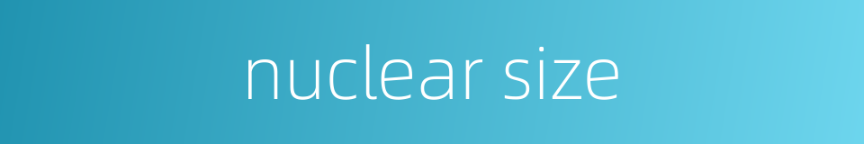 nuclear size的同义词