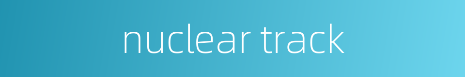 nuclear track的同义词