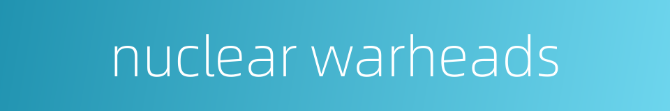 nuclear warheads的同义词