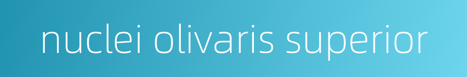 nuclei olivaris superior的同义词
