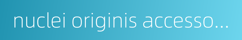 nuclei originis accessorius的同义词