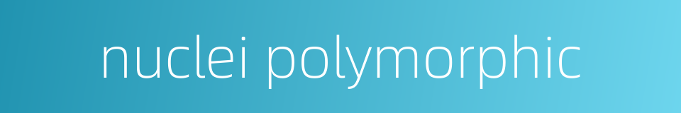 nuclei polymorphic的同义词