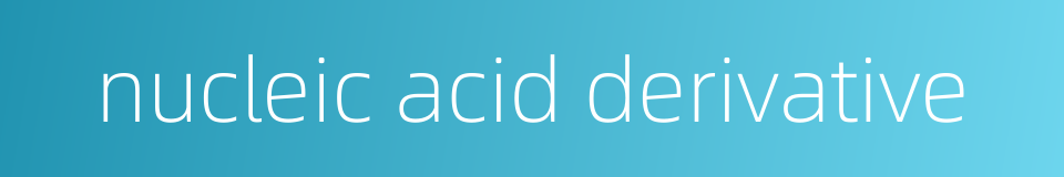 nucleic acid derivative的同义词
