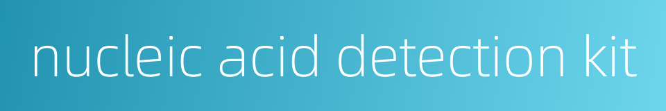 nucleic acid detection kit的同义词