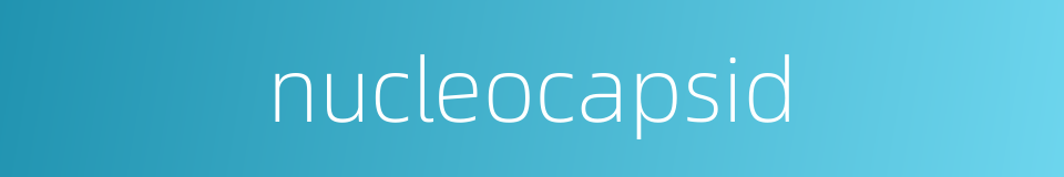 nucleocapsid的同义词