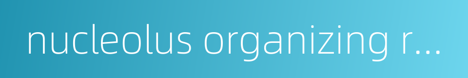 nucleolus organizing region的同义词