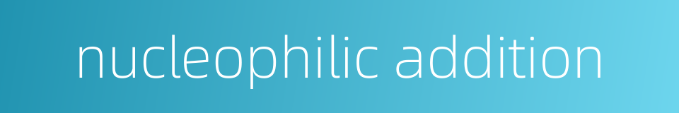 nucleophilic addition的同义词
