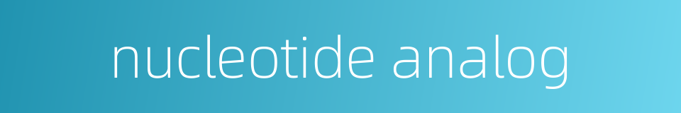 nucleotide analog的同义词