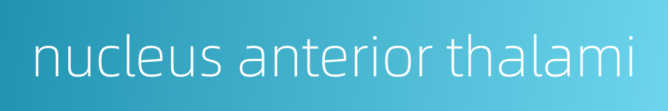 nucleus anterior thalami的同义词