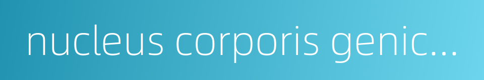 nucleus corporis geniculati medialis的同义词