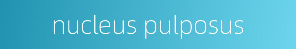 nucleus pulposus的同义词