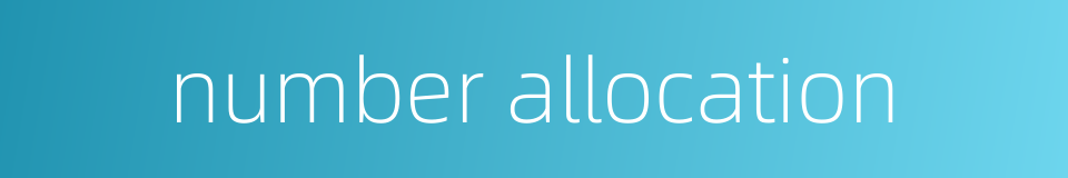 number allocation的同义词