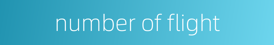 number of flight的同义词