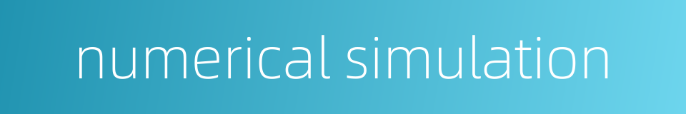 numerical simulation的同义词