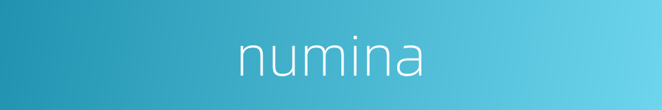 numina的同义词