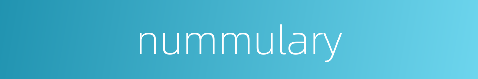 nummulary的同义词