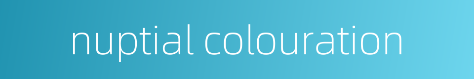 nuptial colouration的同义词