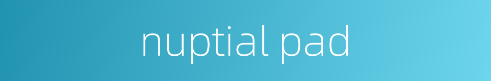 nuptial pad的同义词