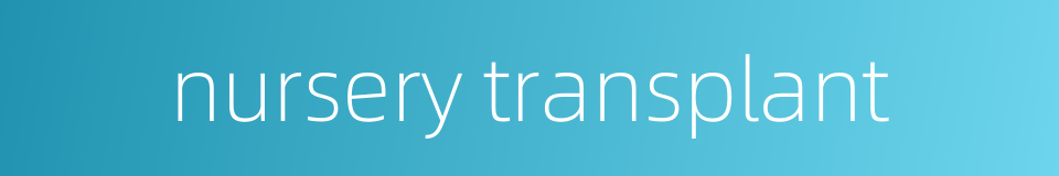 nursery transplant的同义词