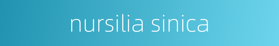 nursilia sinica的同义词