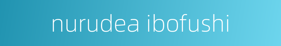 nurudea ibofushi的同义词