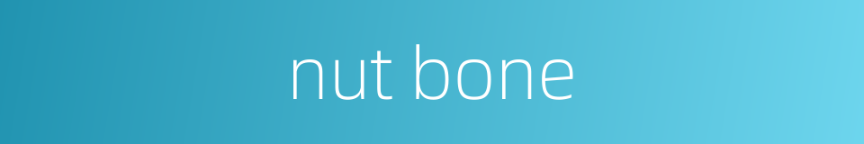 nut bone的同义词